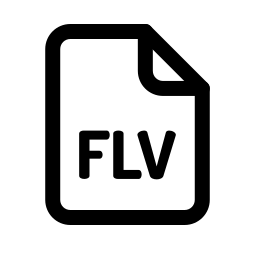 FLV 추출