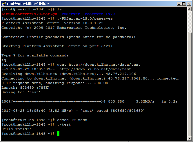 Delphi 10.2 Toyko Linux PAServer 설치 및 사용
